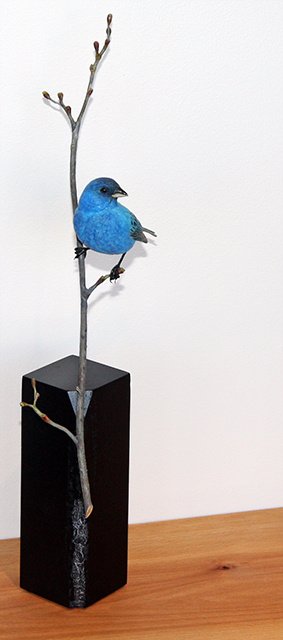 Indigo Bunting #1